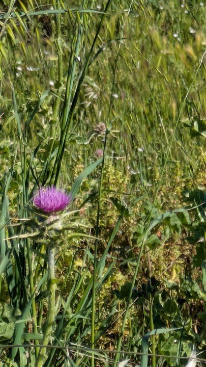 WhatsApp Image 2025 04 26 à 09 12 23 40a8cd29 Copier