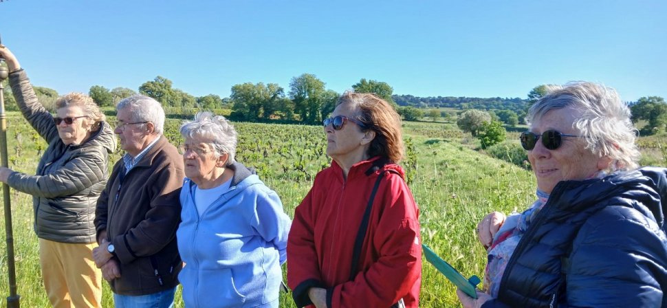 WhatsApp Image 2025 04 26 à 09 12 17 661a6175 Copier